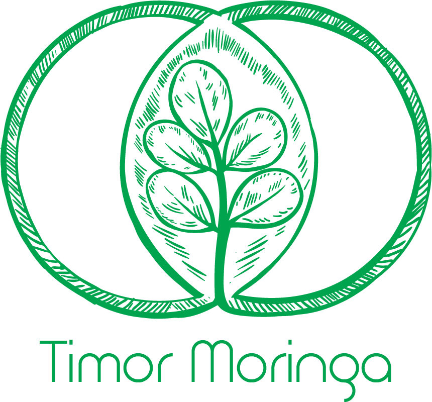Timor Moringa